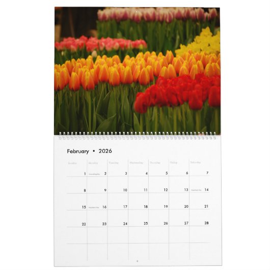 Tulpen Kalender (Feb 2026)