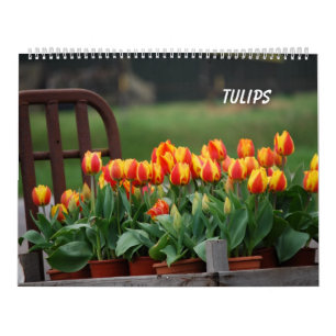 Tulpen Kalender