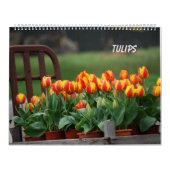 Tulpen Kalender (Hoes)