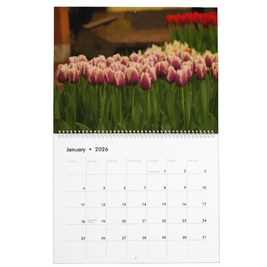 Tulpen Kalender (Jan 2026)