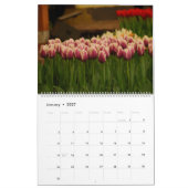 Tulpen Kalender (Jan 2027)