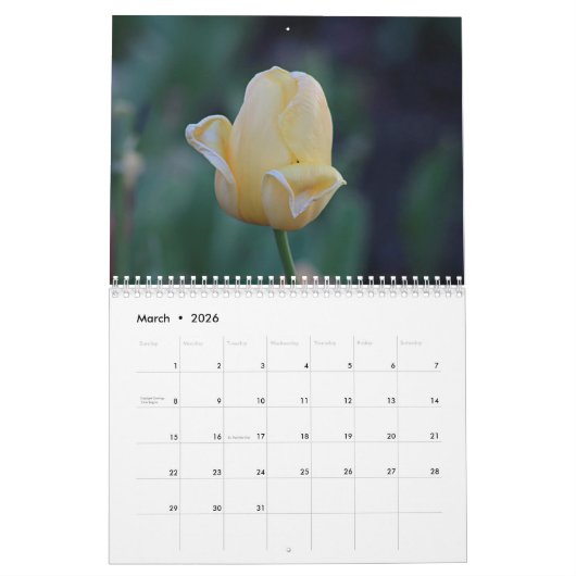 Tulpen Kalender (Mar 2026)