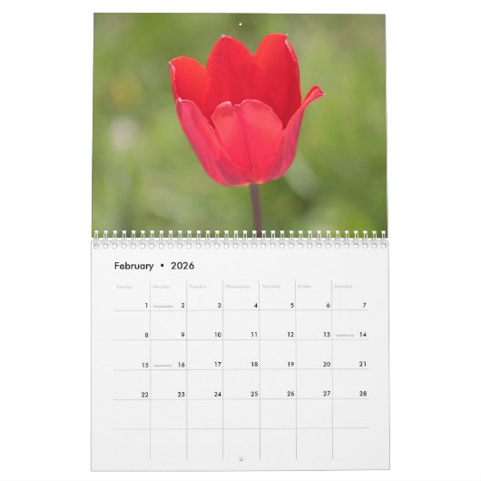 Tulpen Kalender (Feb 2026)