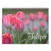 Tulpen Kalender (Hoes)