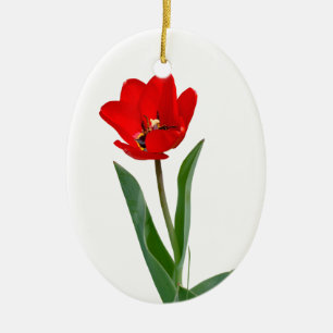 Tulpen Keramisch Ornament