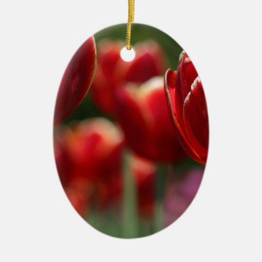 Tulpen Keramisch Ornament (Voorkant)