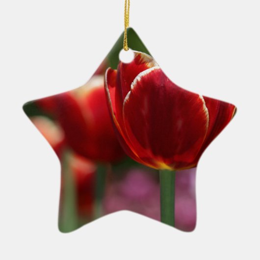 Tulpen Keramisch Ornament (Voorkant)