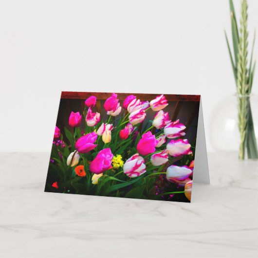 Tulpen Kerst Droom en Affaire #1 Kaart (Voorkant)
