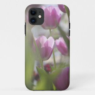 Tulpen, Keukenhoff-tuinen, Nederland. iPhone 11 Hoesje
