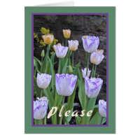 Tulpen/kom snel goed/van ons allemaal