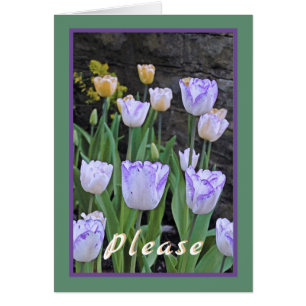 Tulpen/kom snel goed/van ons allemaal