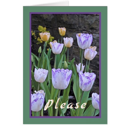 Tulpen/kom snel goed/van ons allemaal (Voorkant)