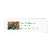 Tulpen labels (Voorkant)
