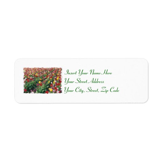 Tulpen labels (Voorkant)