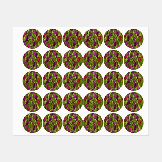 Tulpen Labels (Vel)