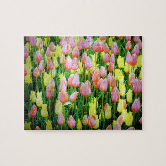 tulpen legpuzzel (Horizontaal)