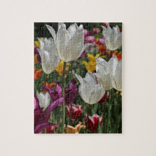 Tulpen Legpuzzel (Verticaal)