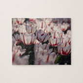 Tulpen Legpuzzel (Horizontaal)