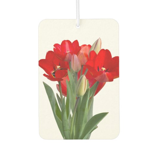 Tulpen Luchtverfrisser (Voorkant)