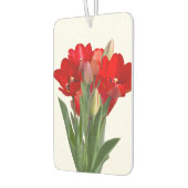 Tulpen Luchtverfrisser (Links)