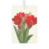 Tulpen Luchtverfrisser (Achterkant)