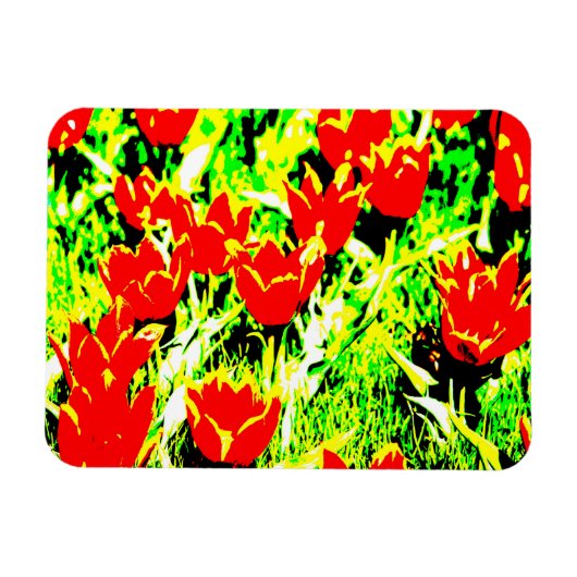 Tulpen Magneet (Horizontaal)
