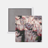 Tulpen Magneet (Voorkant / Achterkant)