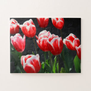 Tulpen met 30 pc's legpuzzel