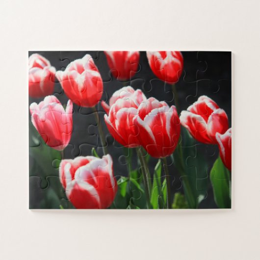 Tulpen met 30 pc's legpuzzel (Horizontaal)