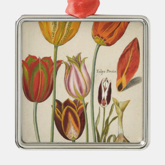 Tulpen Metalen Ornament (Voorkant)