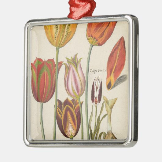 Tulpen Metalen Ornament (Links)