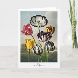 Tulpen — Moderne Botanische Herinterpretatie Kaart