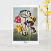Tulpen — Moderne Botanische Herinterpretatie Kaart (Gele Bloem)