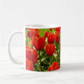 Tulpen mok (Links)
