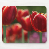 Tulpen Muismat (Voorkant)