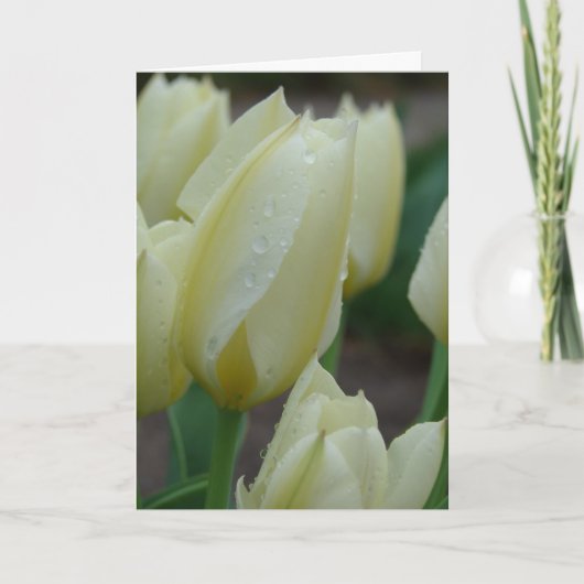Tulpen na regen feestdagen kaart (Voorkant)