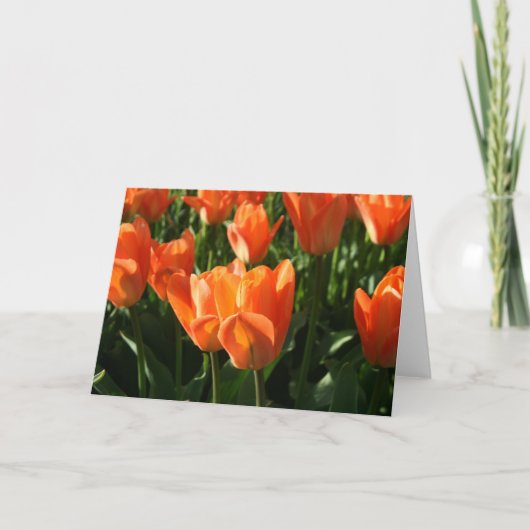 Tulpen NoteCard Kaart (Voorkant)