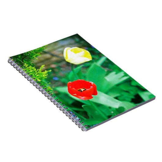Tulpen Notitieboek (Rechterzijde)
