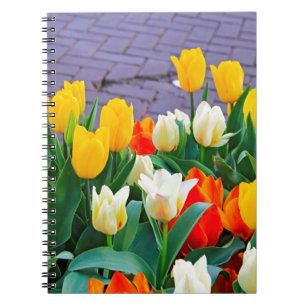 Tulpen Notitieboek