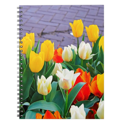Tulpen Notitieboek (Voorkant)
