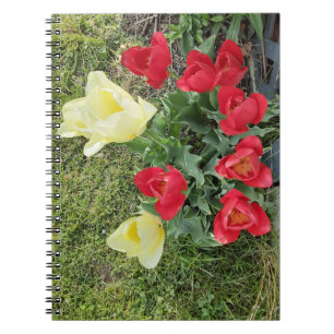 Tulpen Notitieboek