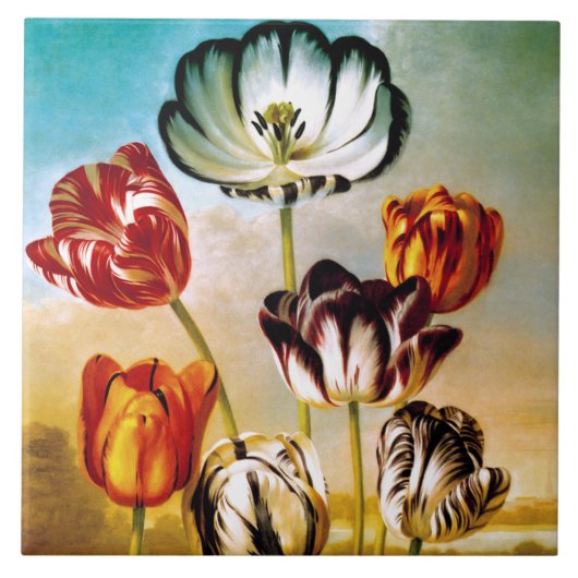 Tulpen onder de lucht Tegel Tegeltje (Voorkant)