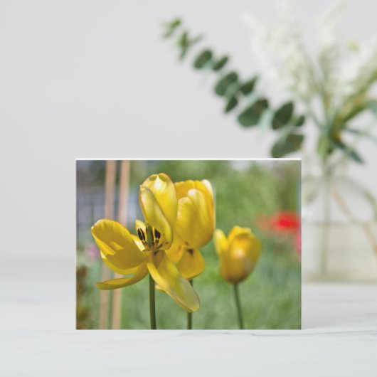 Tulpen ontvouwen briefkaart (Staand voorkant)