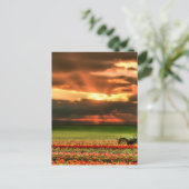 Tulpen op de zon briefkaart (Staand voorkant)