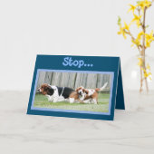 Tulpen op Funny Just Because Kaart met Basset Houn (Gele Bloem)