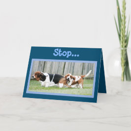 Tulpen op Funny Just Because Kaart met Basset Houn