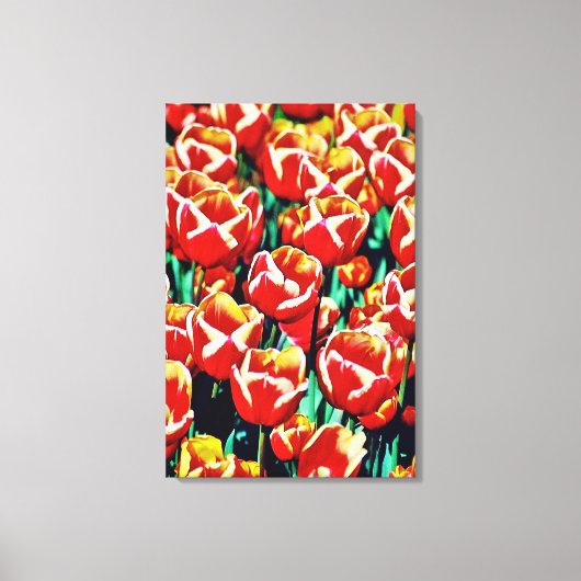 Tulpen op gespannen canvas afdruk (Voorkant)
