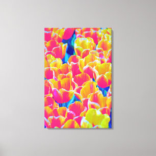Tulpen op gespannen canvas print