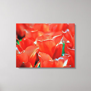 Tulpen op gespannen canvas print