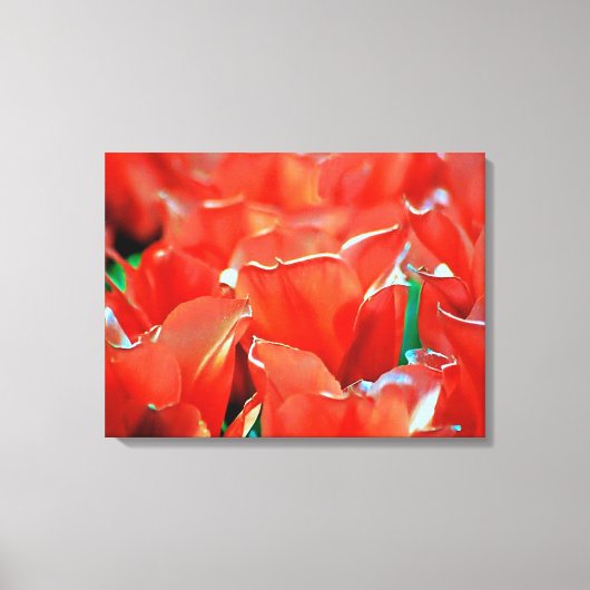 Tulpen op gespannen canvas print (Voorkant)